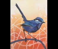 Blue Wren IY/95