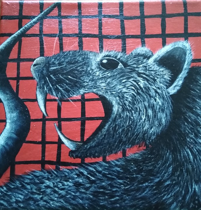 Rat in Cage