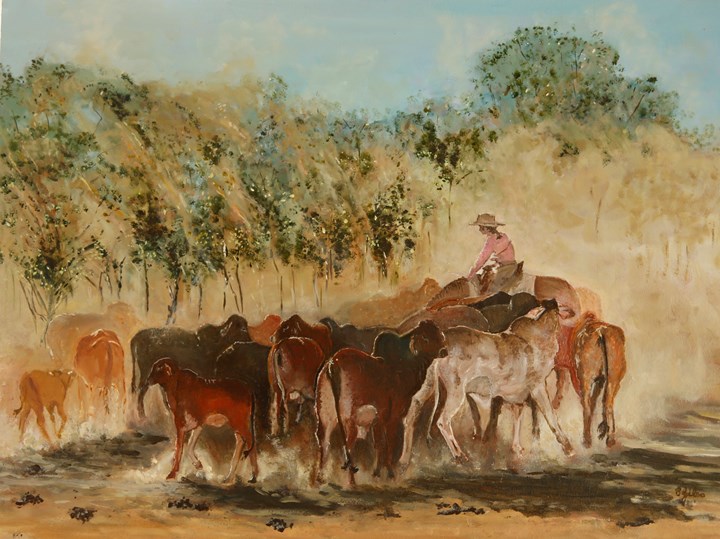 Dust up at the Waterhole