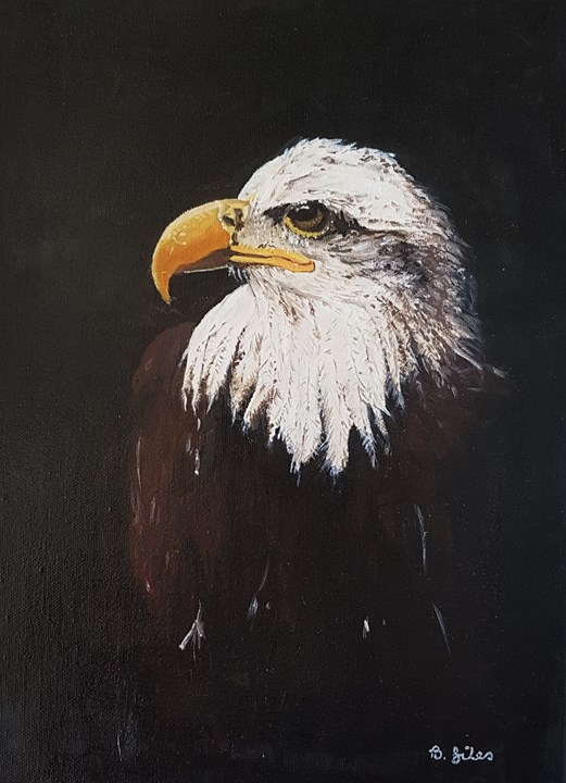 Portrait of a Bald Eagle