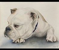 Winston