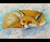 Nap Time