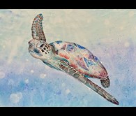 Under the Sea