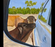 Gibb River Road Locals