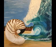 Nautilus