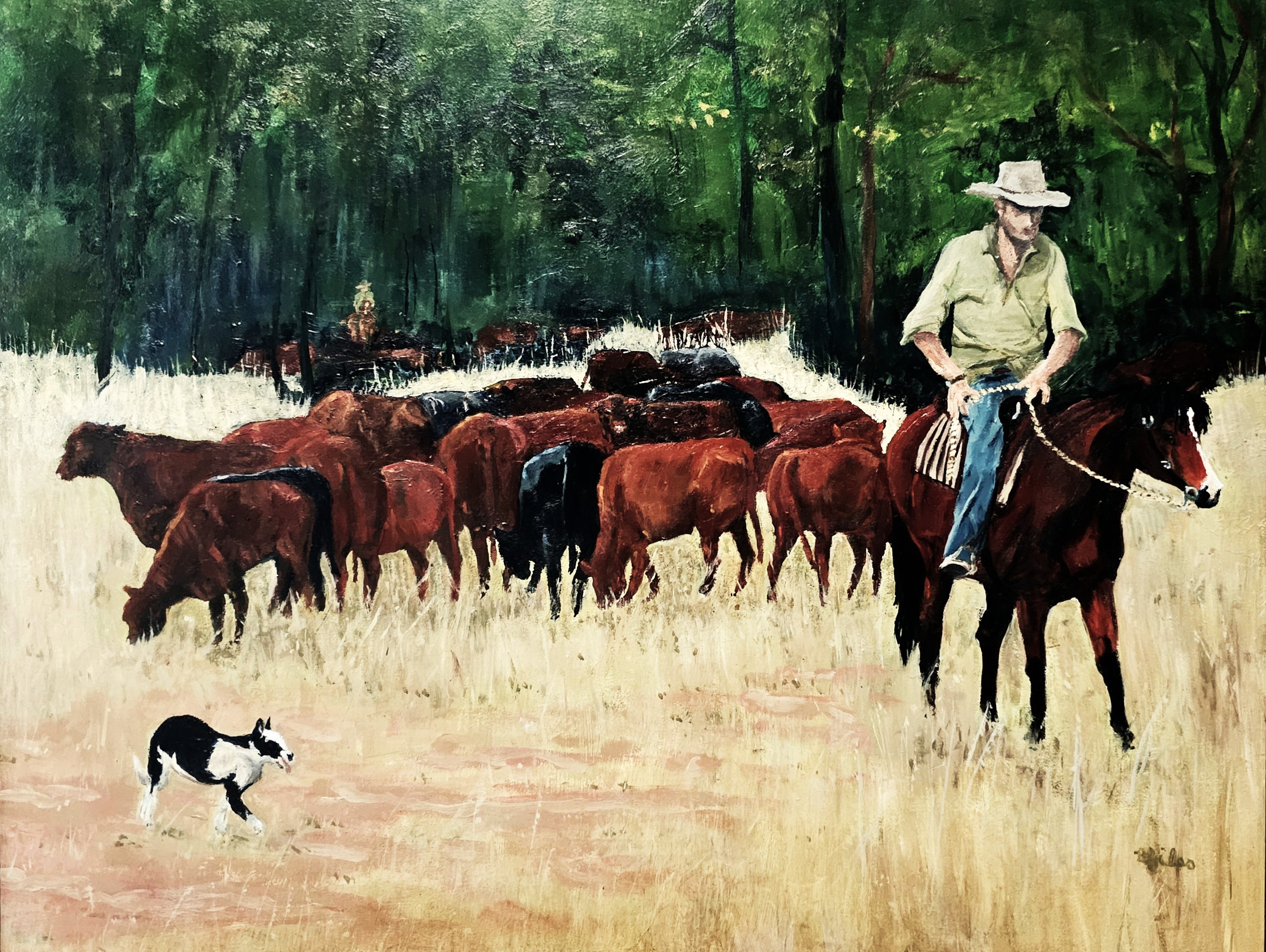 Droving in the Long Paddock