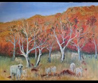 Kimberley Country