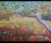 The Pilbara