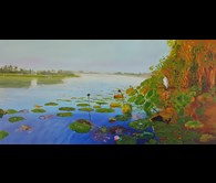 Corroboree Wetlands
