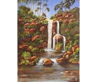 Liffy Falls Tasmania