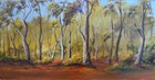 Near Dwellingup
