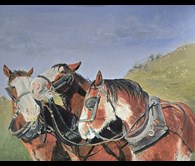 Erewhon Clydesdales Kindred Spirits