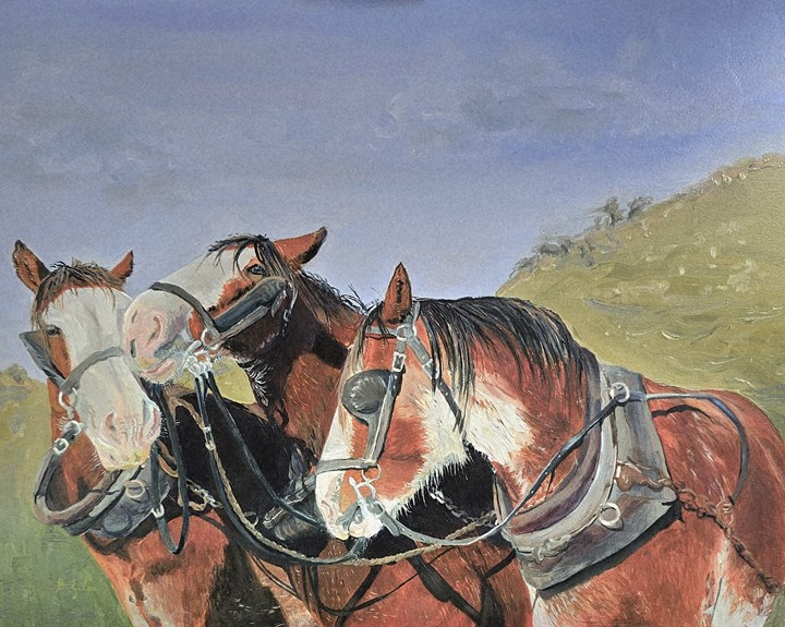 Erewhon Clydesdales Kindred Spirits