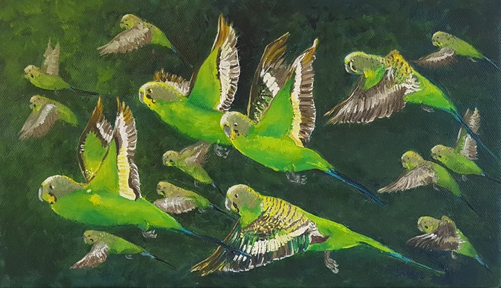 Flock