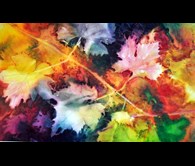 Colours of Spring