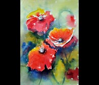Poppies