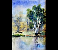 Reflections