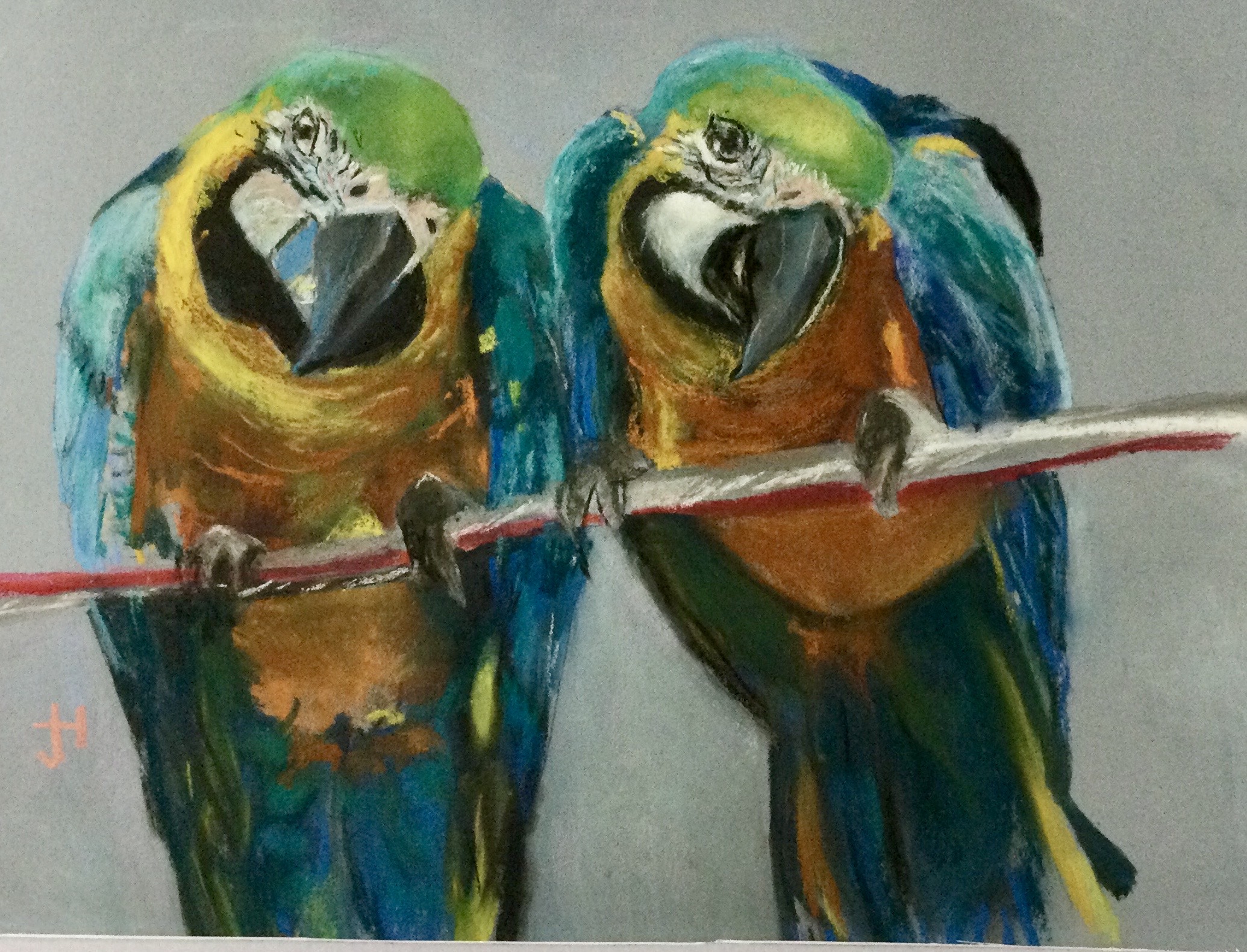 Parrots
