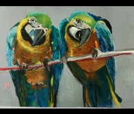 Parrots