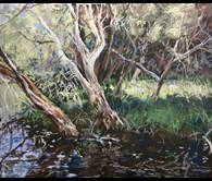 Whiteman Park
