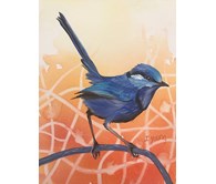 Blue Wren IY/95