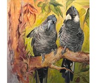 Cockatoos in the Bush