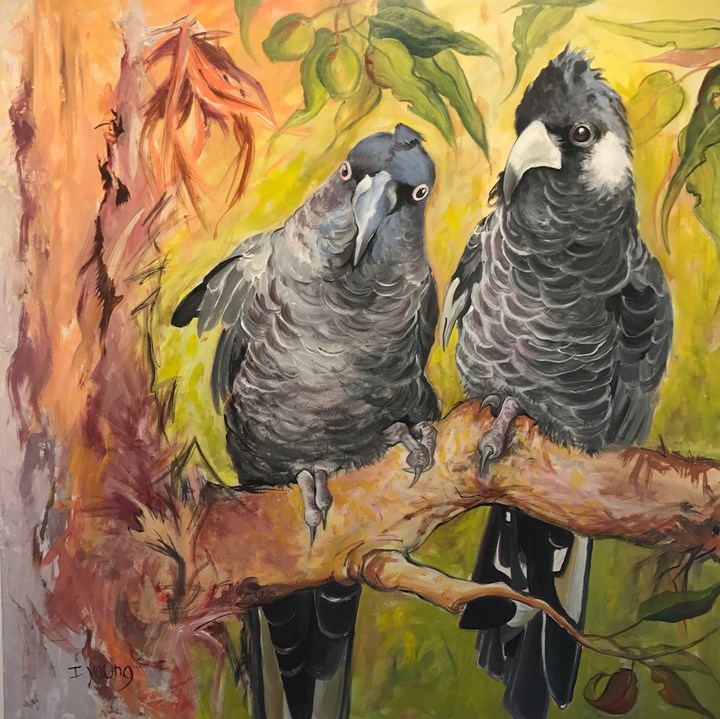 Cockatoos in the Bush