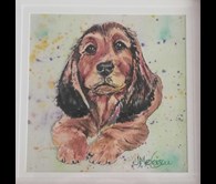 Dachshund Puppy