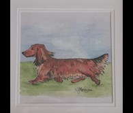 Dashing Dachshund 3