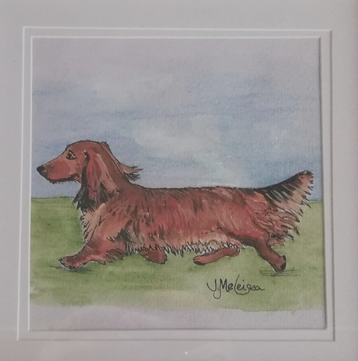 Dashing Dachshund 3