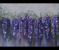Wandering Wisteria