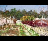 The orchard, Karragullen