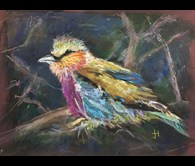 Ruffled Feathers