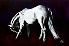 White Horse