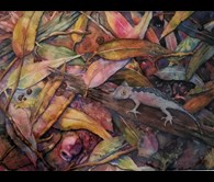 Beneath the Eucalypt