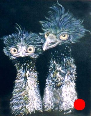 Emus