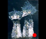 Emus