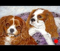 King Charles Spaniels