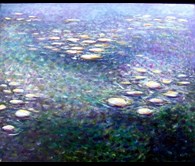 My Lillies