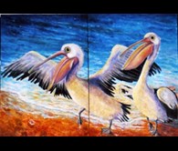 Pelicans