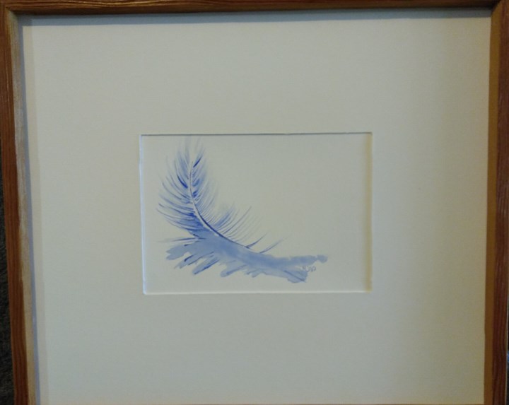 Blue Feather