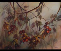 Nature's Bounty