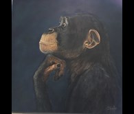 Just Thinking