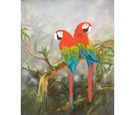 Rainforest Macaws