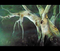 Ancient Gum