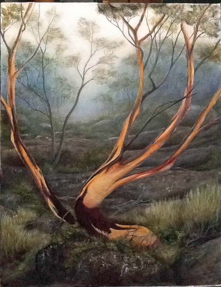 Little Piece of Tasmania