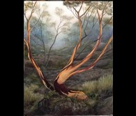 Little Piece of Tasmania