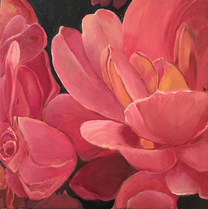 Peach Roses
