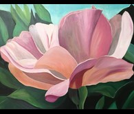 Pink Rose