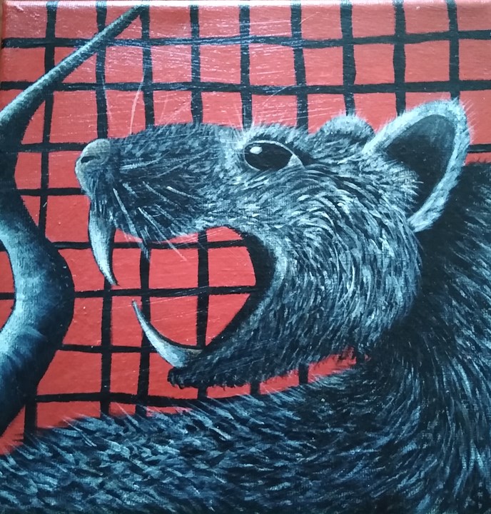 picture Rat In A Cage Art rat in cage armadale society of artists